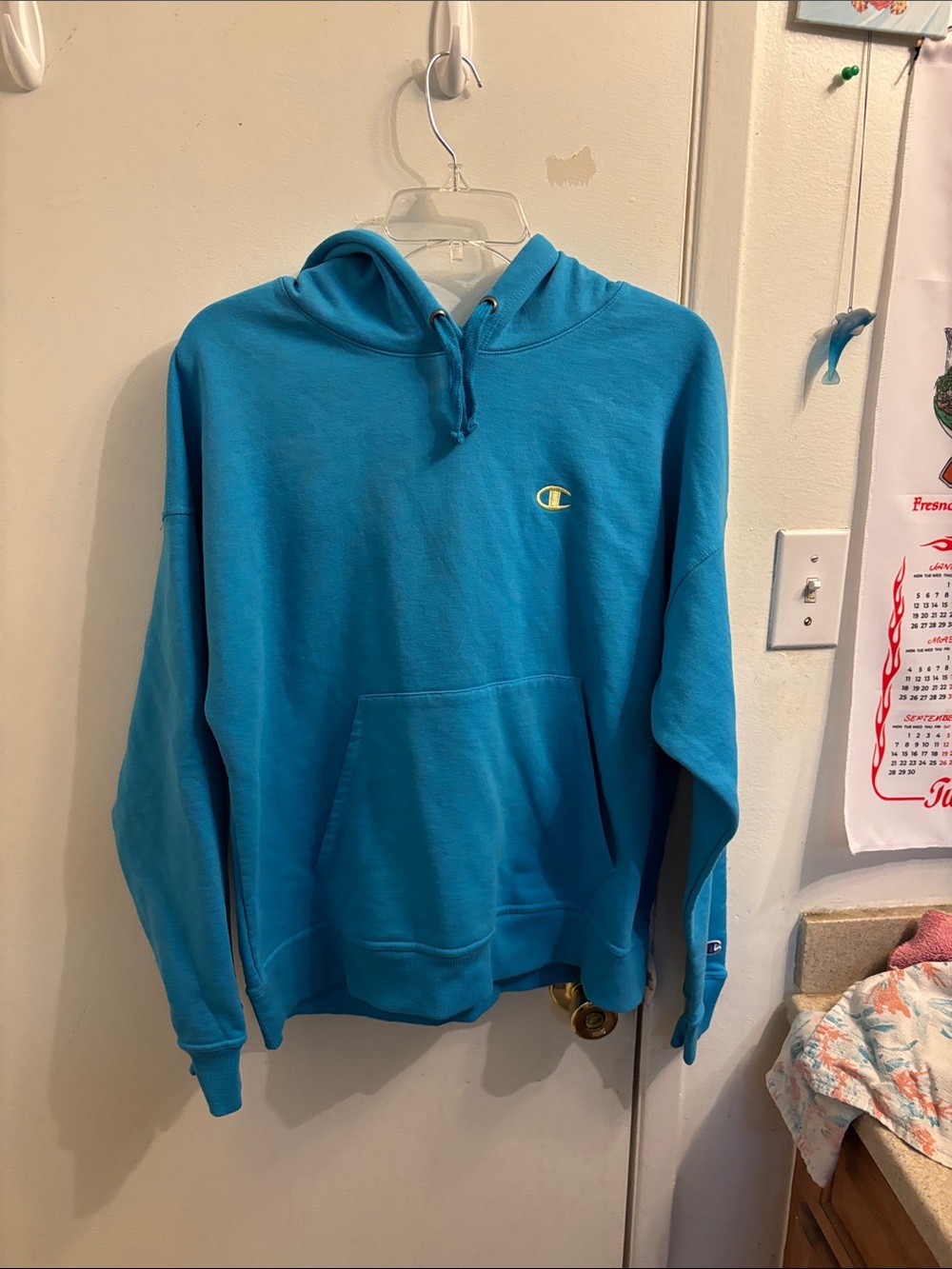 Champion Hoodie in Turquoise Blue with Embroidered Logo